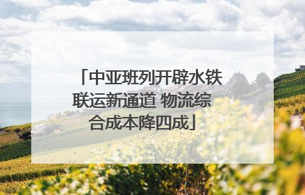 中亚班列开辟水铁联运新通道 物流综合成本降四成