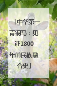 中华第一青铜马：见证1800年前民族融合史