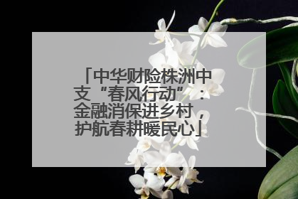 中华财险株洲中支“春风行动”：金融消保进乡村，护航春耕暖民心