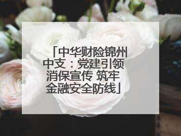 中华财险锦州中支：党建引领消保宣传 筑牢金融安全防线