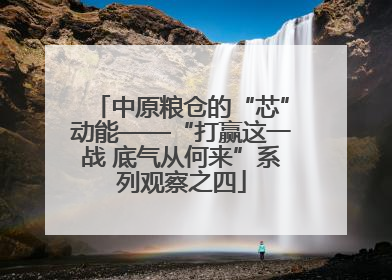 中原粮仓的“芯”动能——“打赢这一战 底气从何来”系列观察之四