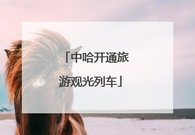 中哈开通旅游观光列车
