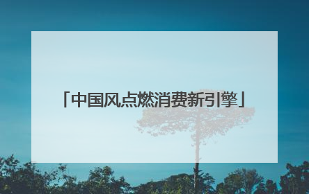 中国风点燃消费新引擎