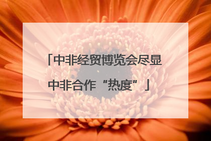 中非经贸博览会尽显中非合作“热度”