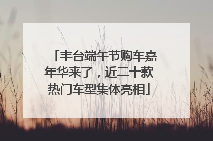 丰台端午节购车嘉年华来了，近二十款热门车型集体亮相