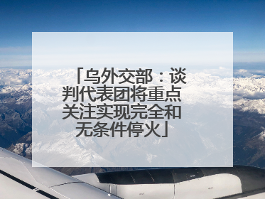乌外交部：谈判代表团将重点关注实现完全和无条件停火