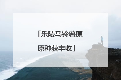 乐陵马铃薯原原种获丰收