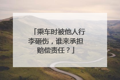 乘车时被他人行李砸伤，谁来承担赔偿责任？