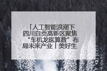 人工智能浪潮下 四川自贡高新区聚焦“车机龙医算数”布局未来产业丨美好生活有“盐”味