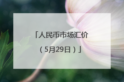 人民币市场汇价（5月29日）