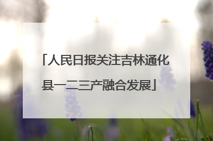 人民日报关注吉林通化县一二三产融合发展