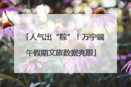 人气出“粽”！万宁端午假期文旅数据亮眼