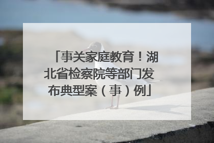 事关家庭教育！湖北省检察院等部门发布典型案（事）例