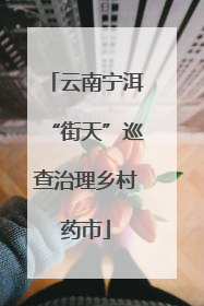 云南宁洱“街天”巡查治理乡村药市