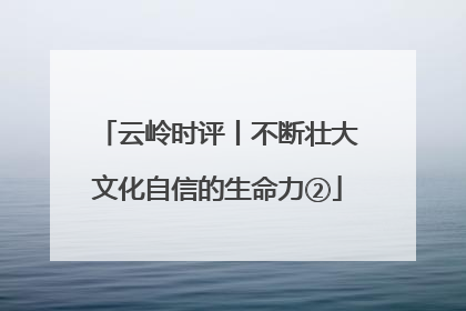 云岭时评丨不断壮大文化自信的生命力②