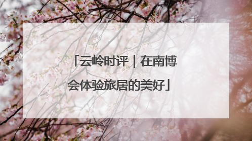 云岭时评｜在南博会体验旅居的美好
