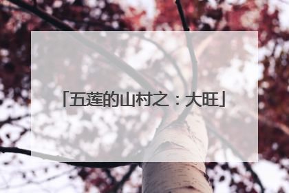 五莲的山村之：大旺