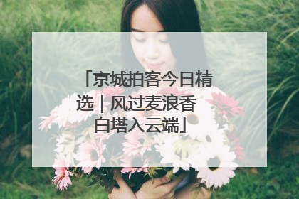 京城拍客今日精选｜风过麦浪香 白塔入云端