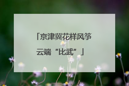 京津冀花样风筝云端“比武”