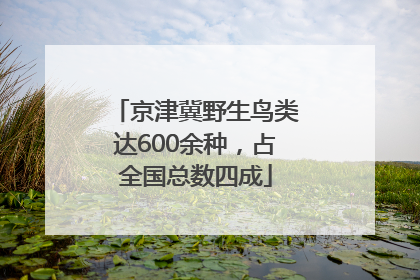 京津冀野生鸟类达600余种，占全国总数四成