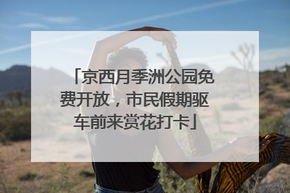 京西月季洲公园免费开放，市民假期驱车前来赏花打卡