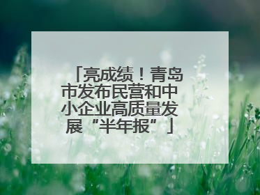 亮成绩！青岛市发布民营和中小企业高质量发展“半年报”