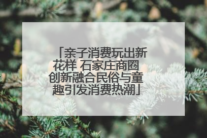 亲子消费玩出新花样 石家庄商圈创新融合民俗与童趣引发消费热潮