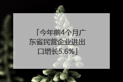 今年前4个月广东省民营企业进出口增长5.6%