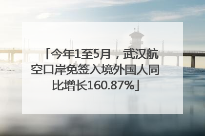今年1至5月，武汉航空口岸免签入境外国人同比增长160.87%