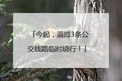 今起，淄博3条公交线路临时绕行！