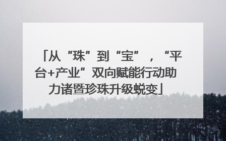 从“珠”到“宝”，“平台+产业”双向赋能行动助力诸暨珍珠升级蜕变