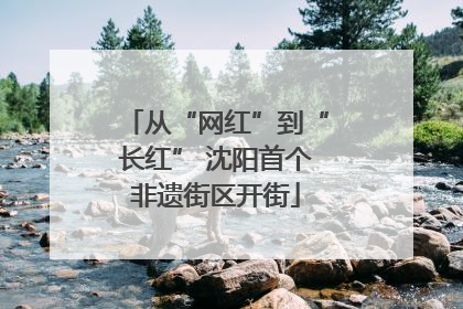 从“网红”到“长红” 沈阳首个非遗街区开街