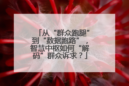 从“群众跑腿”到“数据跑路”，智慧中枢如何“解码”群众诉求？