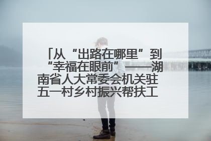 从“出路在哪里”到“幸福在眼前”——湖南省人大常委会机关驻五一村乡村振兴帮扶工作队书写振兴答卷