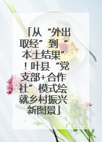 从“外出取经”到“本土结果”！叶县“党支部+合作社”模式绘就乡村振兴新图景