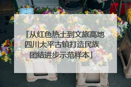 从红色热土到文旅高地 四川太平古镇打造民族团结进步示范样本