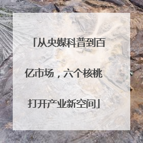 从央媒科普到百亿市场，六个核桃打开产业新空间