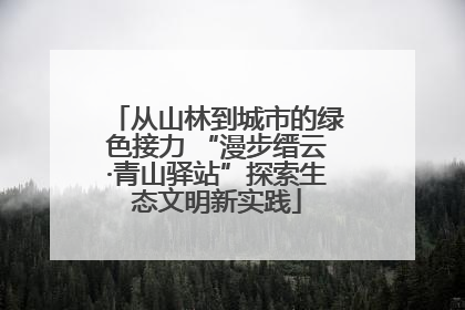 从山林到城市的绿色接力 “漫步缙云·青山驿站”探索生态文明新实践