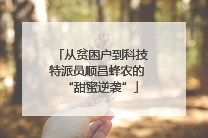 从贫困户到科技特派员顺昌蜂农的“甜蜜逆袭”