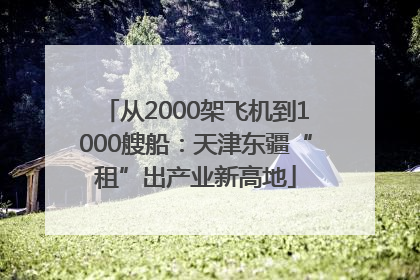 从2000架飞机到1000艘船：天津东疆“租”出产业新高地