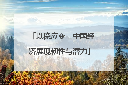 以稳应变，中国经济展现韧性与潜力