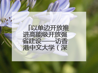 以单边开放推进高能级开放强省建设——访香港中文大学（深圳）公共政策学院院长郑永年