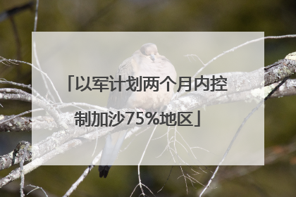 以军计划两个月内控制加沙75%地区