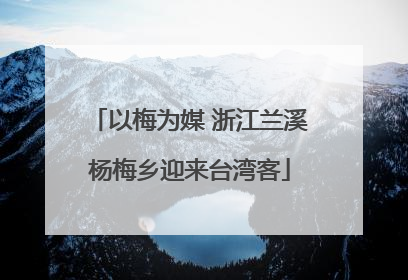 以梅为媒 浙江兰溪杨梅乡迎来台湾客