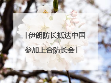 伊朗防长抵达中国参加上合防长会