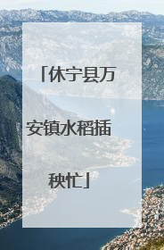 休宁县万安镇水稻插秧忙