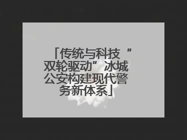 传统与科技“双轮驱动”冰城公安构建现代警务新体系