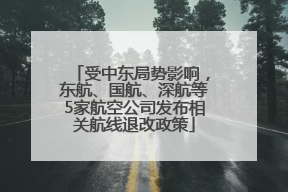 受中东局势影响，东航、国航、深航等5家航空公司发布相关航线退改政策