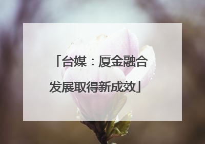 台媒：厦金融合发展取得新成效