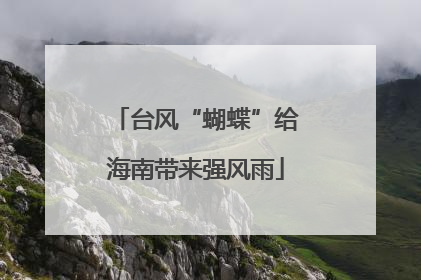 台风“蝴蝶”给海南带来强风雨